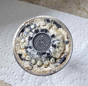 Is Alliston water hard