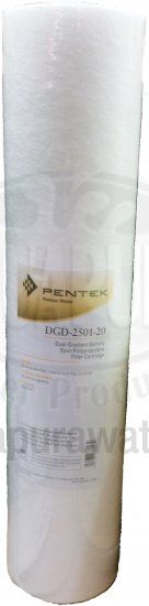 Pentek DGD-5005-20 Dual Gradient Filter Cartridge